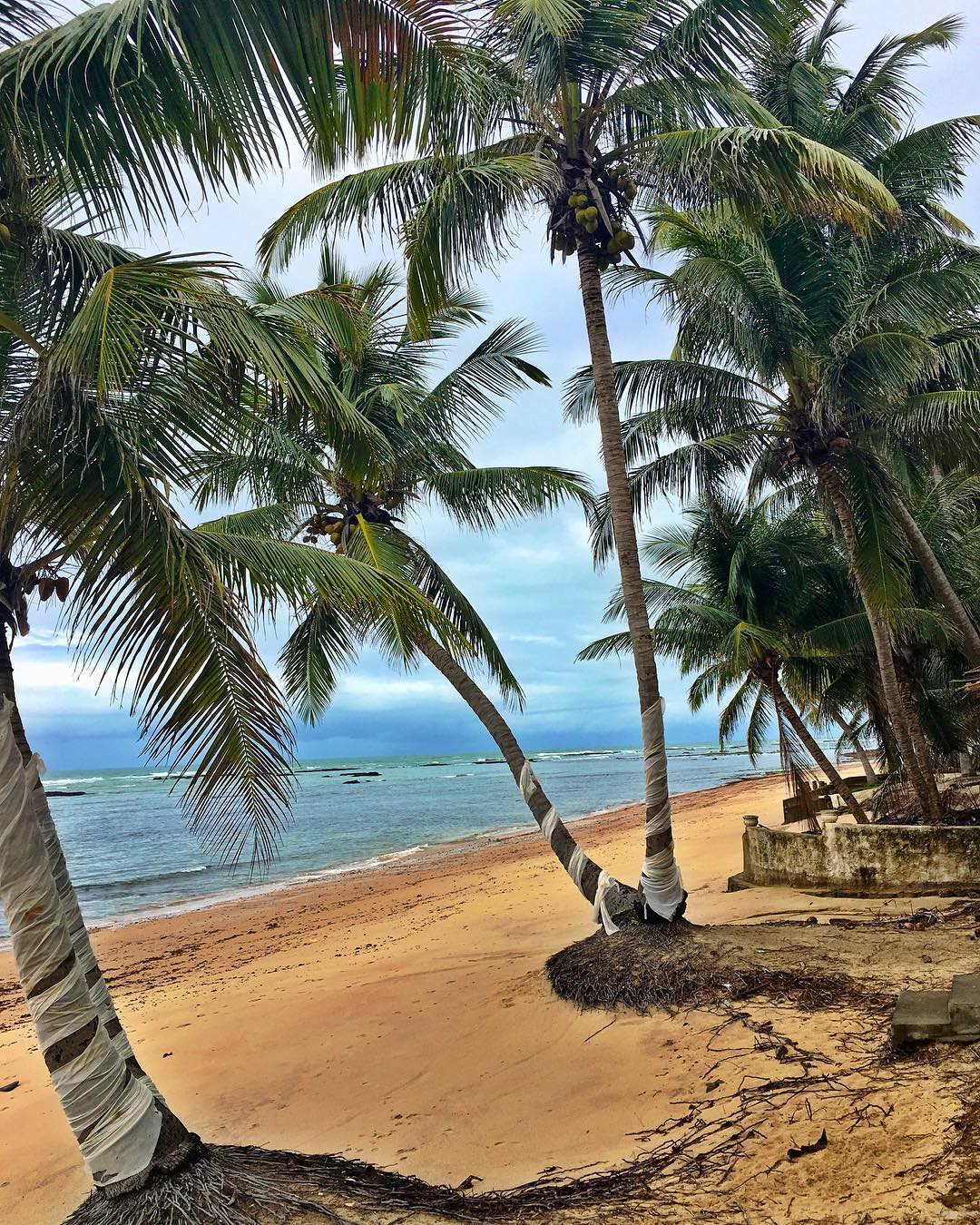 Praia de GarÃ§a Torta