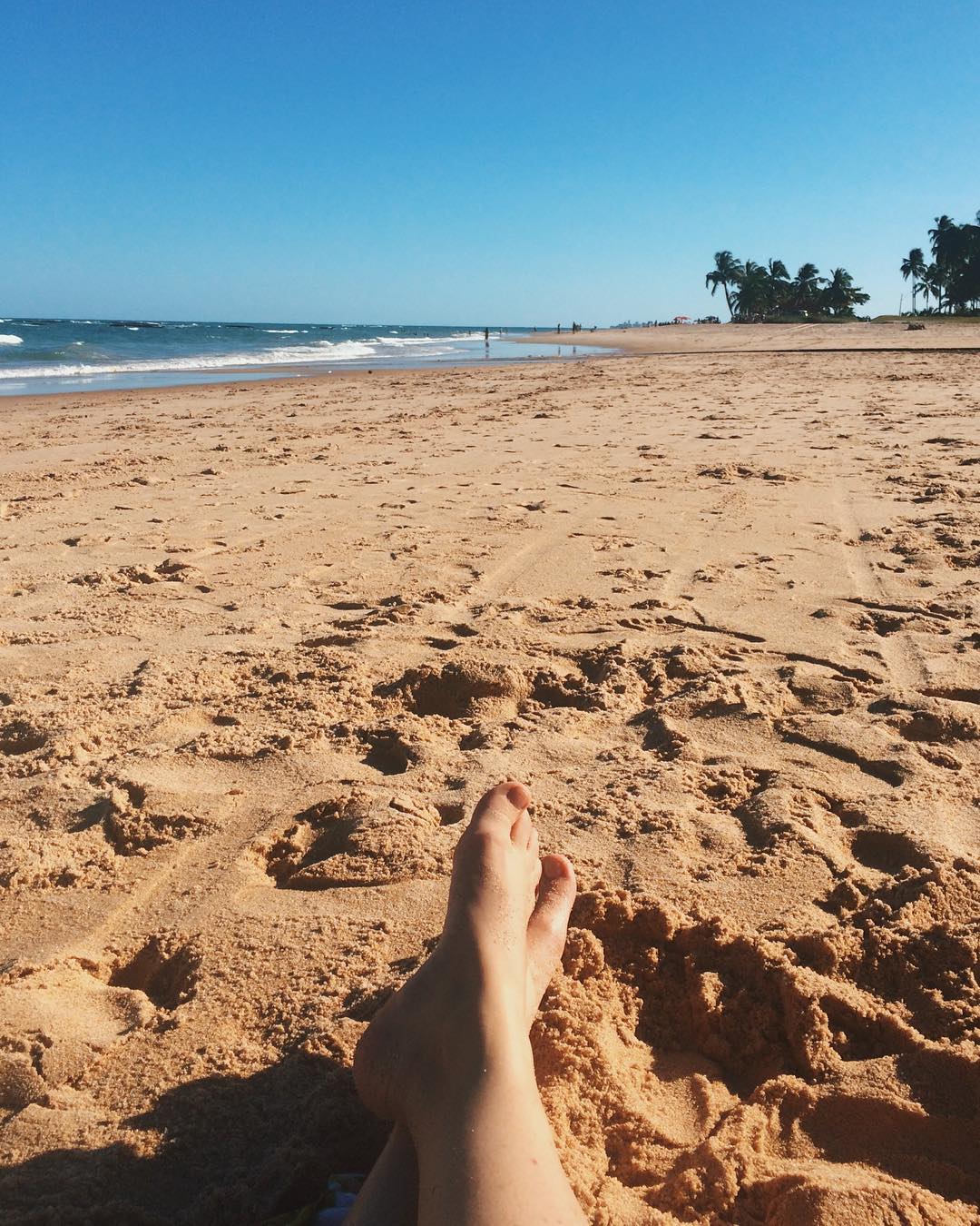 Praia de GarÃ§a Torta