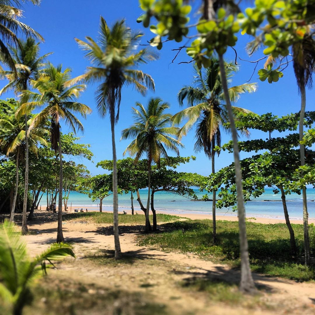 Praia de Itacimirim