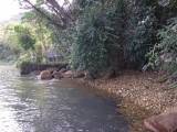 Praia do CodÃ³