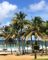 Praia do Farol de ItapuÃ£