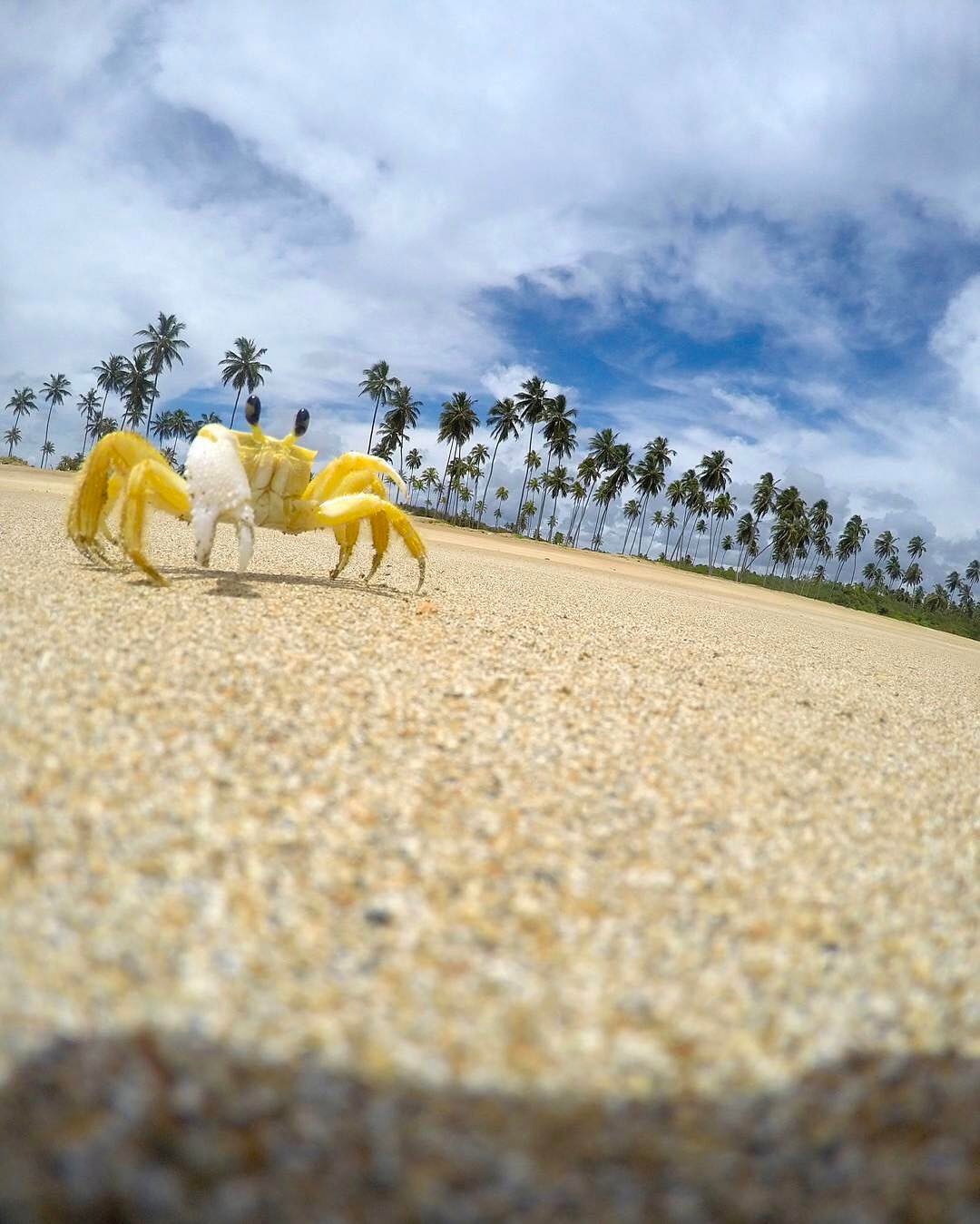 Praia do Riacho